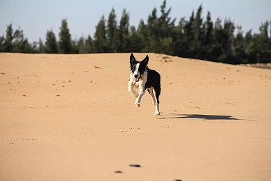 《刺客信条：Hexe》将打破系列惯例 进行大刀阔斧式革新